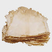Vellum Parchment 